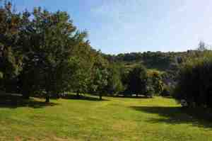 EarthSpirit Landscape